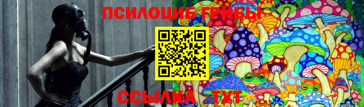 Галлюциногенные грибы Magic Shrooms Сочи